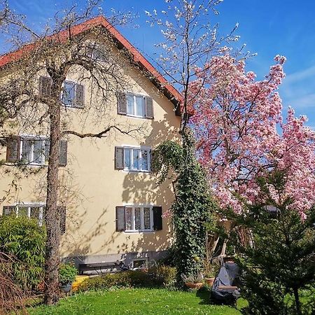70Qm 3-Zimmer Apartment Am Tauernradweg In Hallein Bei Salzburg, Nahe Berchtesgaden, Rossfeld, Kehlsteinhaus, Obersalzberg, Watzmann, Schoenau Am Koenigsee, Bad Vigaun, Schloss Hellbrunn, Burg Hohen Salzburg, Burg Hohen Werfen # Beherbergungsbetrieb المظهر الخارجي الصورة
