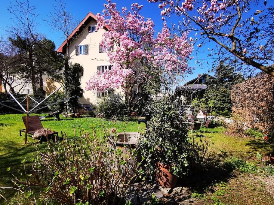 70Qm 3-Zimmer Apartment Am Tauernradweg In Hallein Bei Salzburg, Nahe Berchtesgaden, Rossfeld, Kehlsteinhaus, Obersalzberg, Watzmann, Schoenau Am Koenigsee, Bad Vigaun, Schloss Hellbrunn, Burg Hohen Salzburg, Burg Hohen Werfen # Beherbergungsbetrieb المظهر الخارجي الصورة