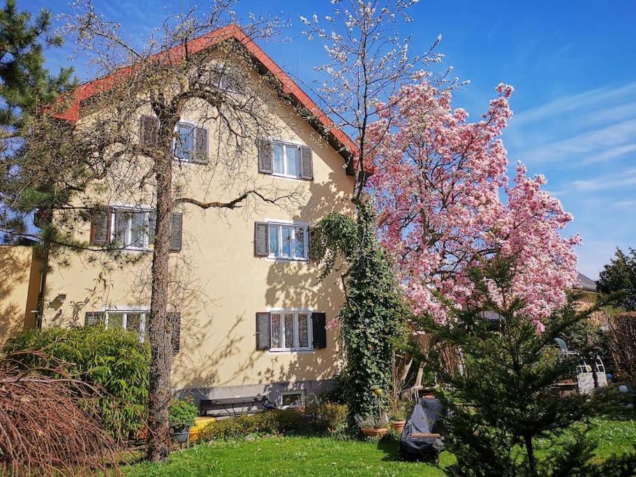 70Qm 3-Zimmer Apartment Am Tauernradweg In Hallein Bei Salzburg, Nahe Berchtesgaden, Rossfeld, Kehlsteinhaus, Obersalzberg, Watzmann, Schoenau Am Koenigsee, Bad Vigaun, Schloss Hellbrunn, Burg Hohen Salzburg, Burg Hohen Werfen # Beherbergungsbetrieb المظهر الخارجي الصورة
